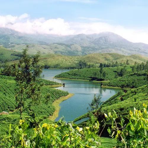 Munnar Hills